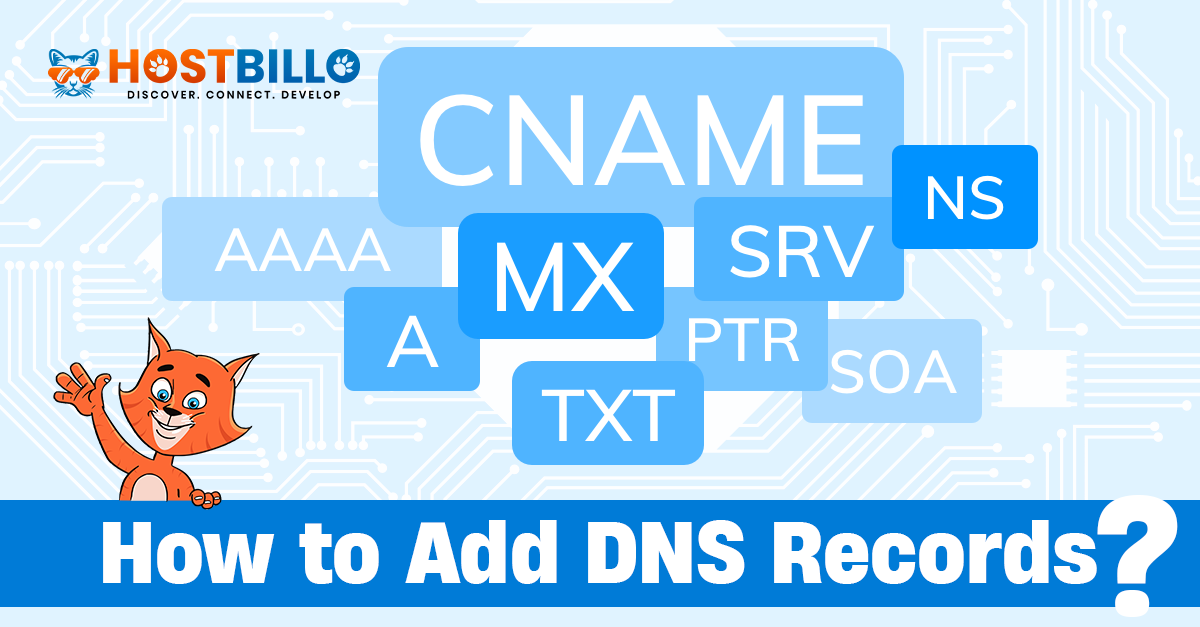 How to add DNS records in cpanel?