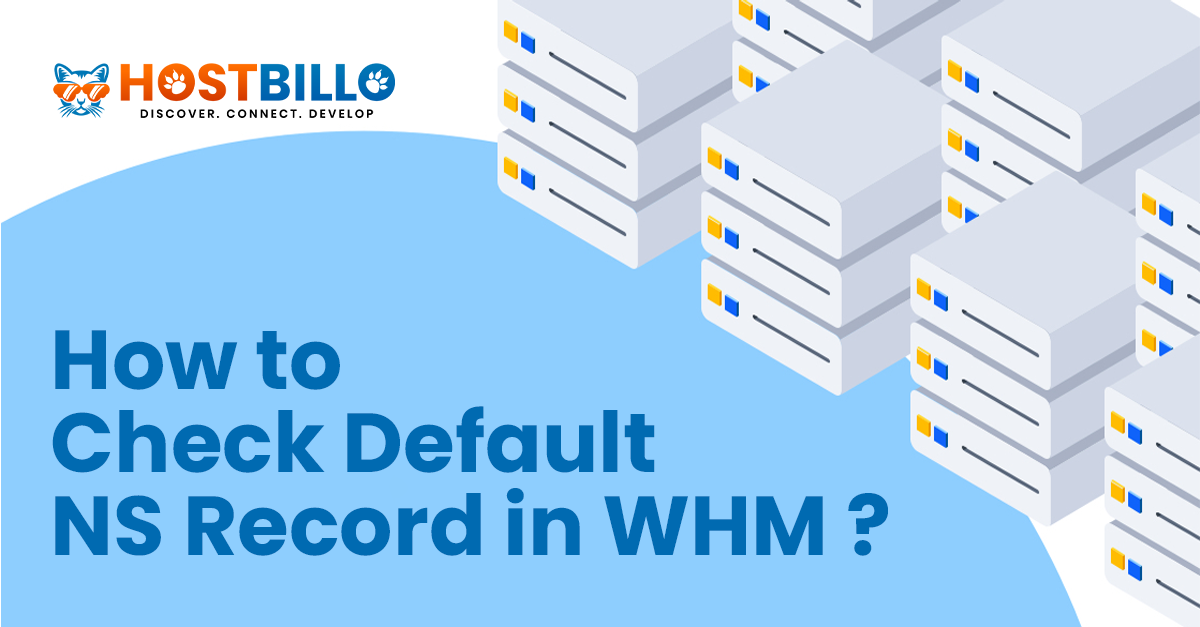 How to check default NS record in WHM?  